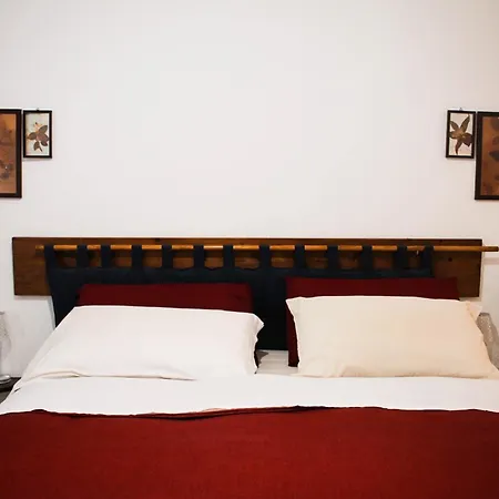 Daffodil In San Pietro Bed & Breakfast 2*