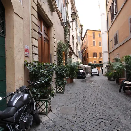 Il Nido Sui Tetti Di Piazza Navona *