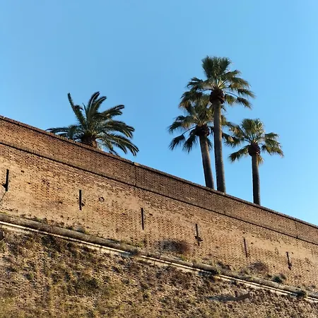 Musei Vaticani Ρώμη
