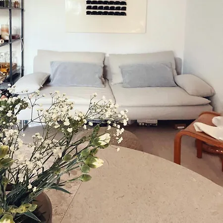 Con Terrazza Apartment Rome