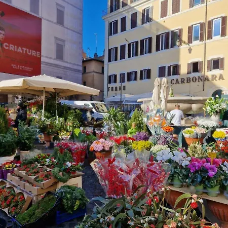 Piazza Cancelleria Rome