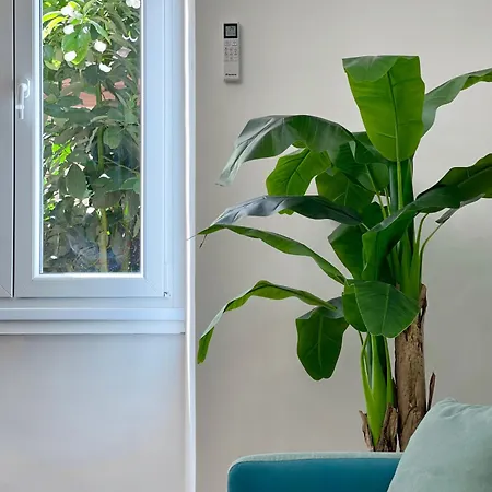 Avocado House - Cozy In The Heart Of Apartment