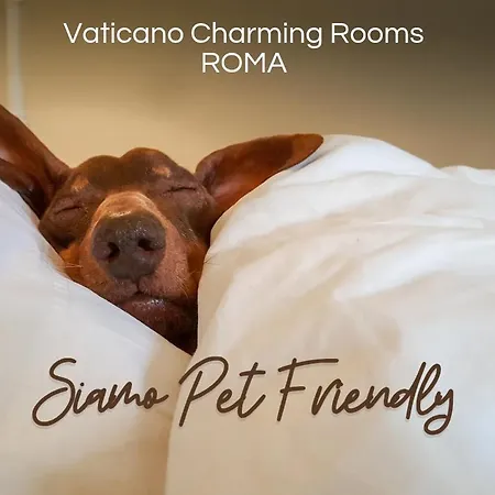 Vaticano Charming Bed & Breakfast 2*