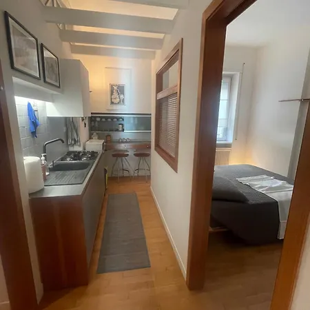 Apartment Domus B Corso Francia Rome