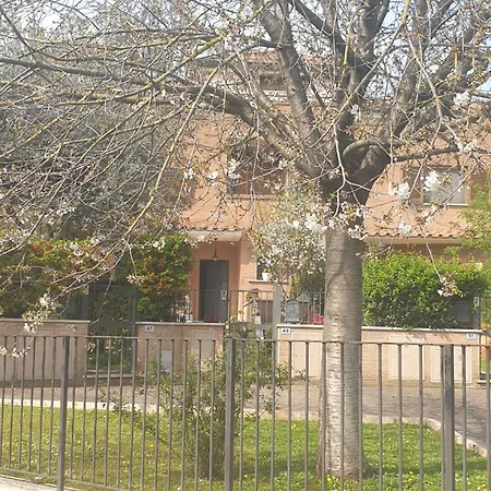 Domus Roma