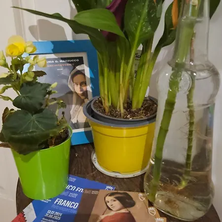 Ulysses In Bed & Breakfast Rome