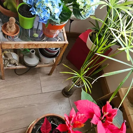 Bed & Breakfast Ulysses In Rome