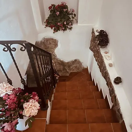 Dom wakacyjny Casa Viola