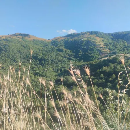 Apartment Molise Garden Renato