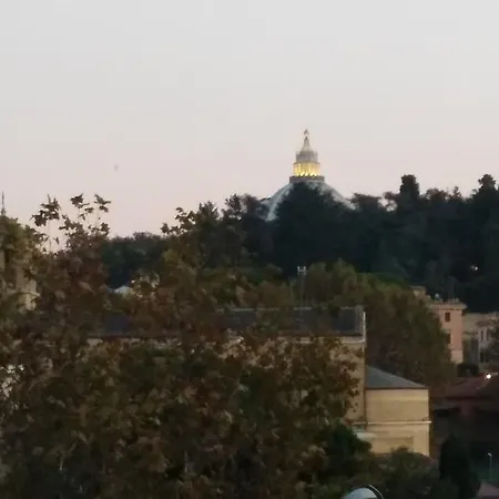 Fiore Vaticano Rome