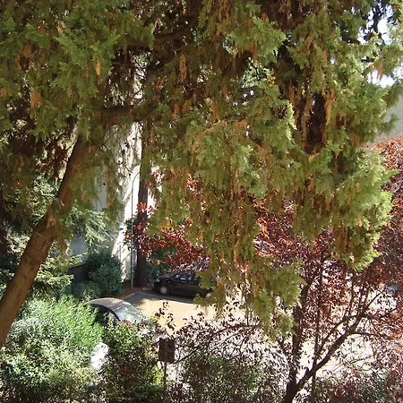 Sciarra Bed & Breakfast *