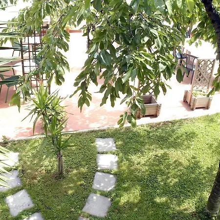 Aurora Garden