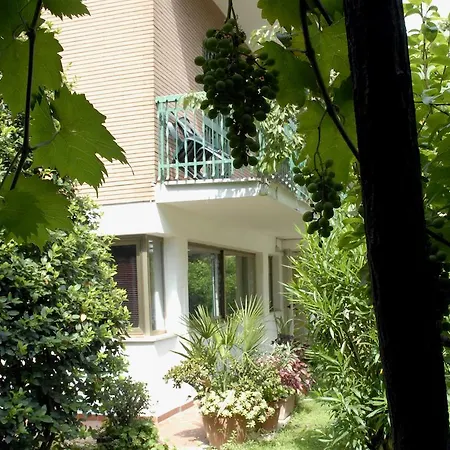 Aurora Garden Hotel 3*