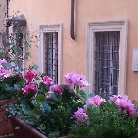 Cuore Di * Rome