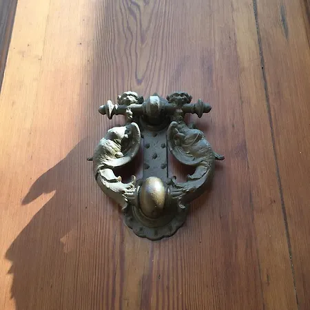 Tempus Albergue