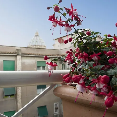 Di Fronte Cupola