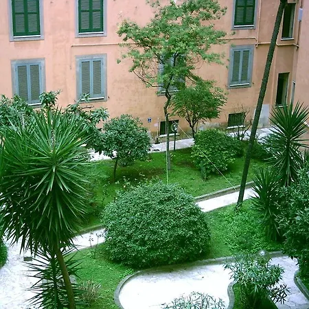 Cimini Near Vatican