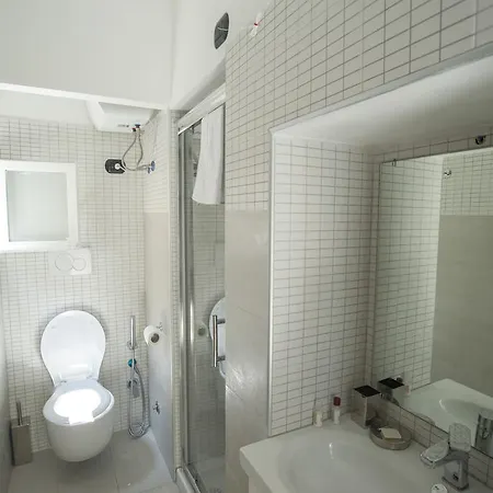 Guest house Flowers Apartments Rome