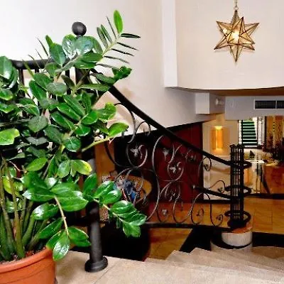 Executive Roma