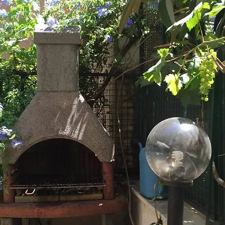 Norico Home&garden