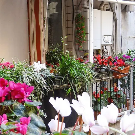 Giuliana 2* Rome