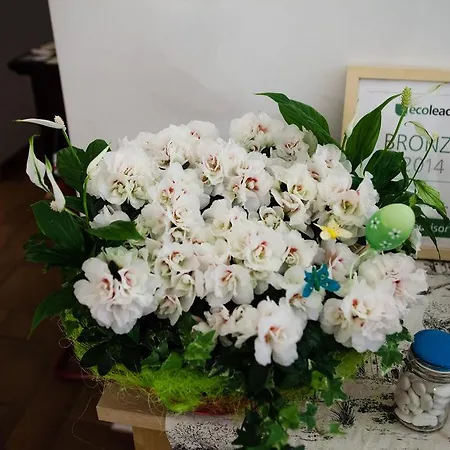 魁瑞塔姆住宿加早餐酒店 3* 罗马