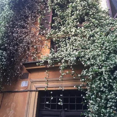 Mgpgroup Navona 2 * Rome