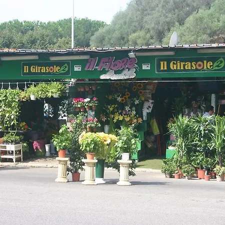 Vittoria Rome