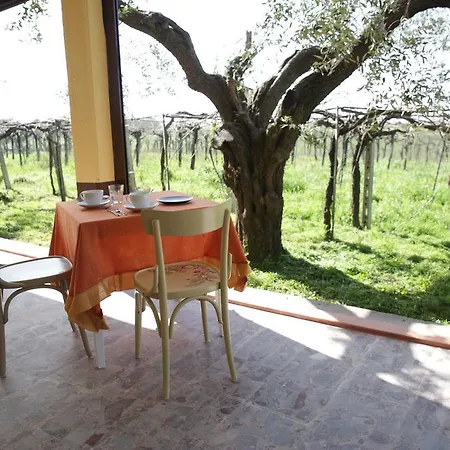 Grappoli Di Sole * Rom