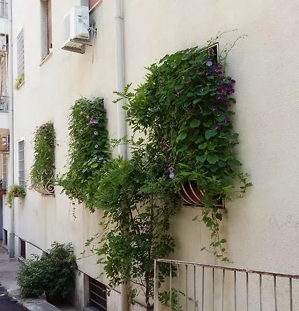 Apartment La Pera Volpina Monteverde Vecchio Rome
