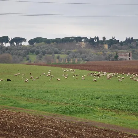 Guest house Casale Appio