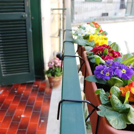 Vietitaly Filiberto Guest house
