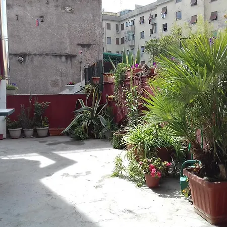 Bed & Breakfast Alfeo 2*