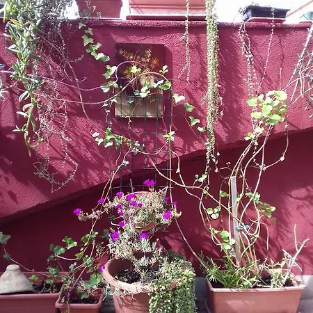 Bed & Breakfast Alfeo