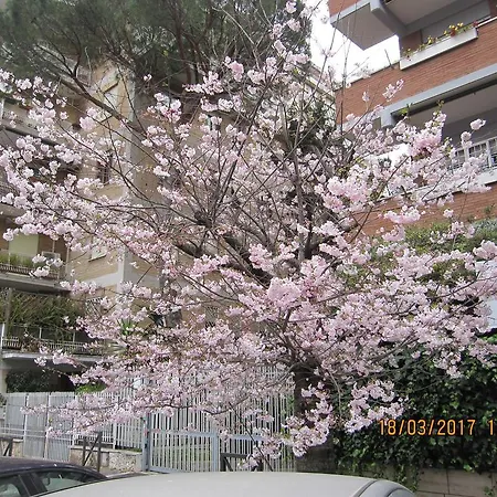 Magni N.30 Roma