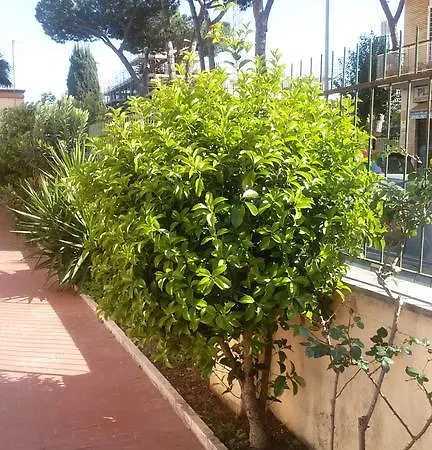 La Casetta Gialla Di Edoardo Apartment