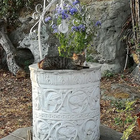Drusilla Casa de hóspedes