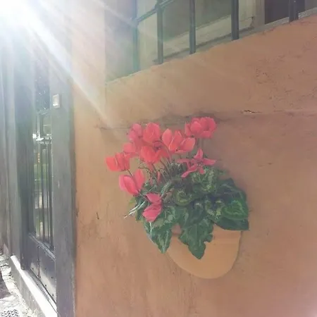 Domus Tiberina Hotel