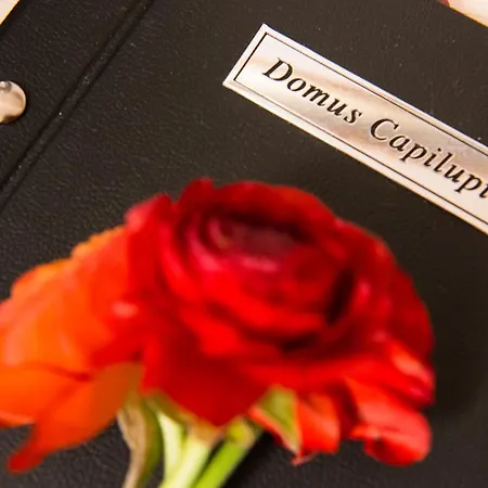 Bed & Breakfast Domus Capilupi Rome
