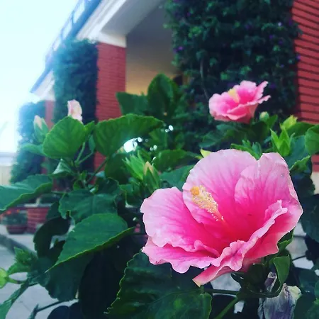 Guest house Residenza Campus Roma