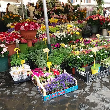 Campofiori Rome