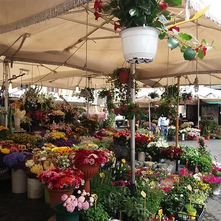 Campofiori Rome