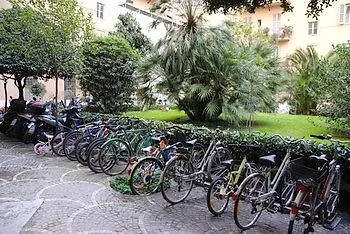 Catone Vatican 2*