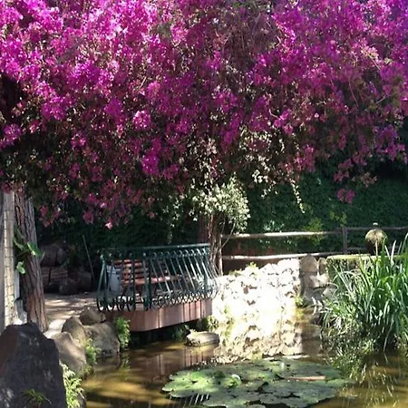 Shangri-la 4* Roma