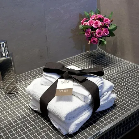 住宿加早餐酒店 卡蒂理豪华客房酒店 罗马