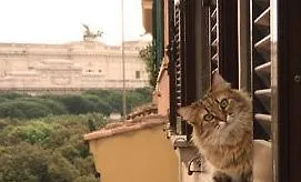 Bed and breakfast At Your Place Roma