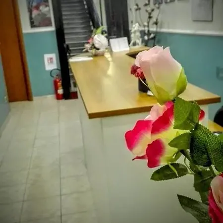 狮子酒店 酒店 *