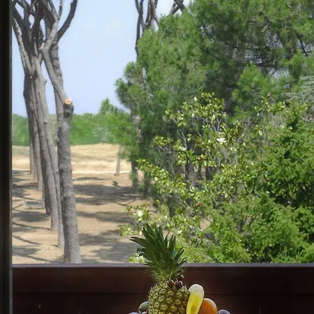 Pinewood רומא