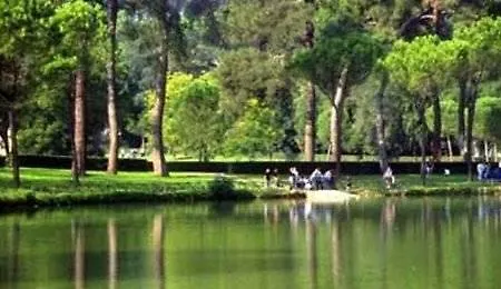 Delle Muse Řím