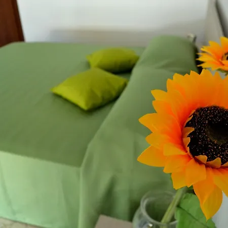 Bed & Breakfast Atticvs Di Mamma Ines Rome